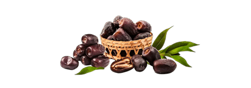 خرمای-مضافتی-بم خرمای ارگانیک مضافتی استک