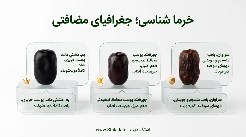 مقایسه جغرافیایی انواع خرمای مضافتی در بم، جیرفت و ایرانشهر