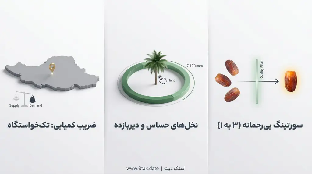 عوامل موثر بر قیمت خرما